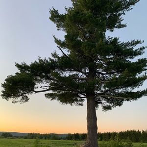 Meet your Posher, Dan